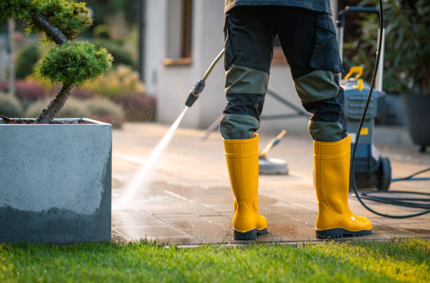 Best Roof Power Washing Services  in Venice Gardens, FL